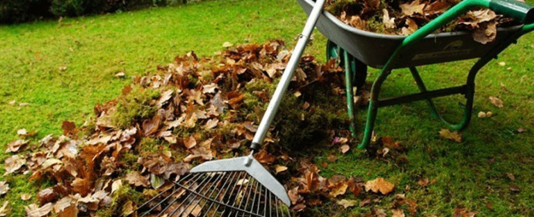 Church Grounds Workers