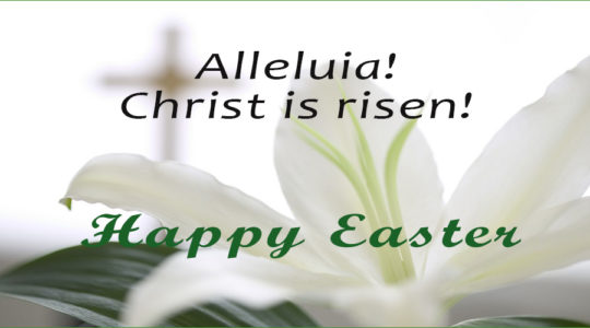 Easter Message from our Clergy